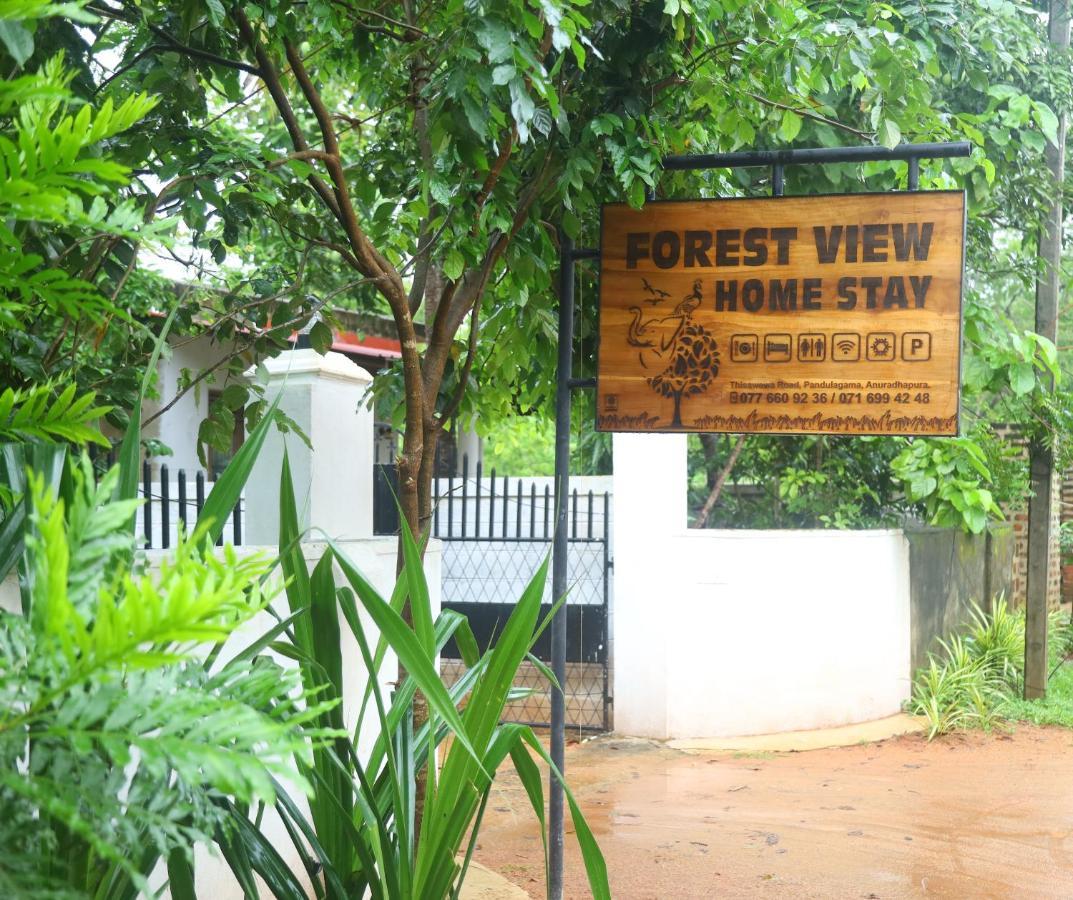 Forest View Home Stay アヌラーダプラ エクステリア 写真